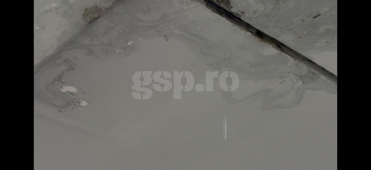 Rapid - Dinamo mai e derby? În Superligă, cele două rivale abia umplu jumătate din Arena Națională