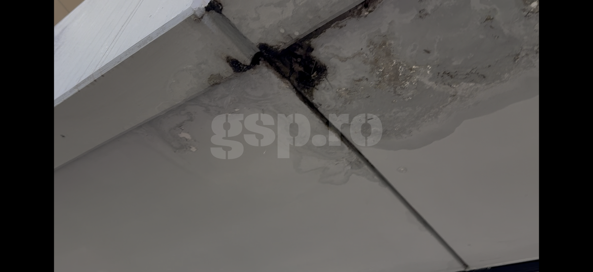 Pereții de la Arena Națională