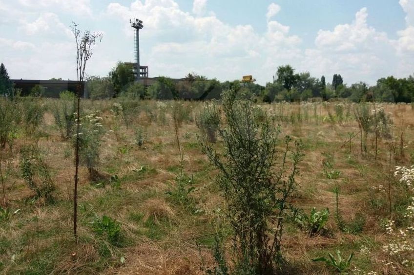 bird Outlook excuse Contre USR - PSD cu baza Pro Rapid: „În PUZ-ul făcut în pandemie, baza e centru de afaceri” vs. „Facem Sală Plolivalentă” bird Outlook excuse Contre USR - PSD cu baza Pro Rapid: „În PUZ-ul făcut în pandemie, baza e centru de afaceri” vs. „Facem Sală Plolivalentă”