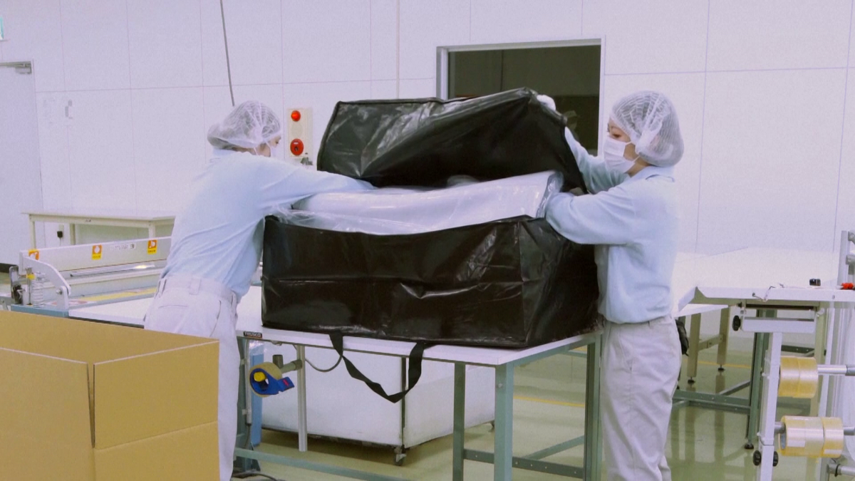 Saltele Jocurile Olimpice Paris