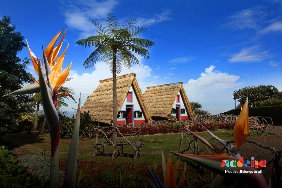 Madeira la pas - drumetii pe care nu trebuie sa le ratezi