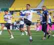 Antrenamentul oficial al echipei naţionale la Viena FOTO: Ionuţ Iordache (GSP)