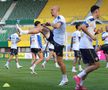 Antrenamentul oficial al echipei naţionale la Viena FOTO: Ionuţ Iordache (GSP)