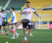 Antrenamentul oficial al echipei naţionale la Viena FOTO: Ionuţ Iordache (GSP)