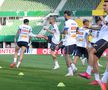 Antrenamentul oficial al echipei naţionale la Viena FOTO: Ionuţ Iordache (GSP)