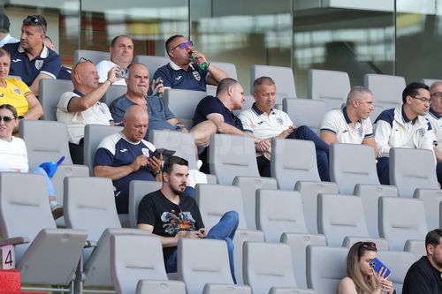 CORESPONDENȚĂ DIN VIENA Apariție-surpriză la Viena: conducătorul din Superligă, surprins în delegația României, lângă Gino Iorgulescu