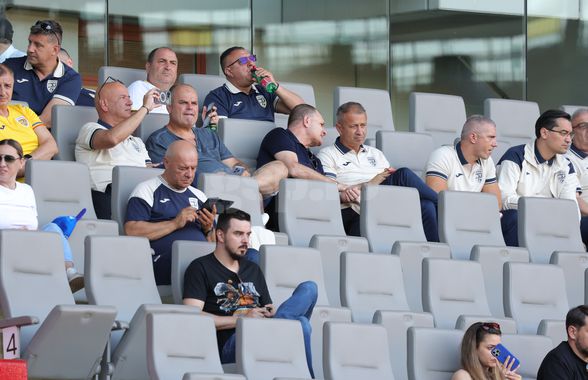 Apariție-surpriză la Viena: conducătorul din Superligă, surprins în delegația României, lângă Gino Iorgulescu