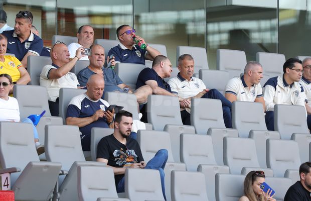 Apariție-surpriză la Viena: conducătorul din Superligă, surprins în delegația României, lângă Gino Iorgulescu