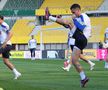 Antrenamentul oficial al echipei naţionale la Viena FOTO: Ionuţ Iordache (GSP)