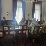 Răzvan Burleanu, la un eveniment al Ambasadei României la Viena // foto: Remus Dinu (GSP)