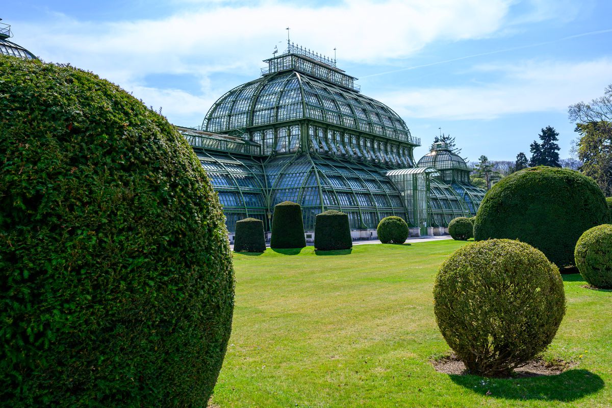 10 curiozități despre Viena, orașul unde România își continuă drumul spre Campionatul Mondial din 2026