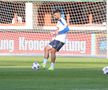 Antrenamentul oficial al echipei naţionale la Viena FOTO: Ionuţ Iordache (GSP)