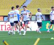 Antrenamentul oficial al echipei naţionale la Viena FOTO: Ionuţ Iordache (GSP)