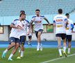 Antrenamentul oficial al echipei naţionale la Viena FOTO: Ionuţ Iordache (GSP)