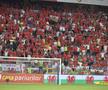România - Țara Galilor/ foto Cristi Preda (GSP)