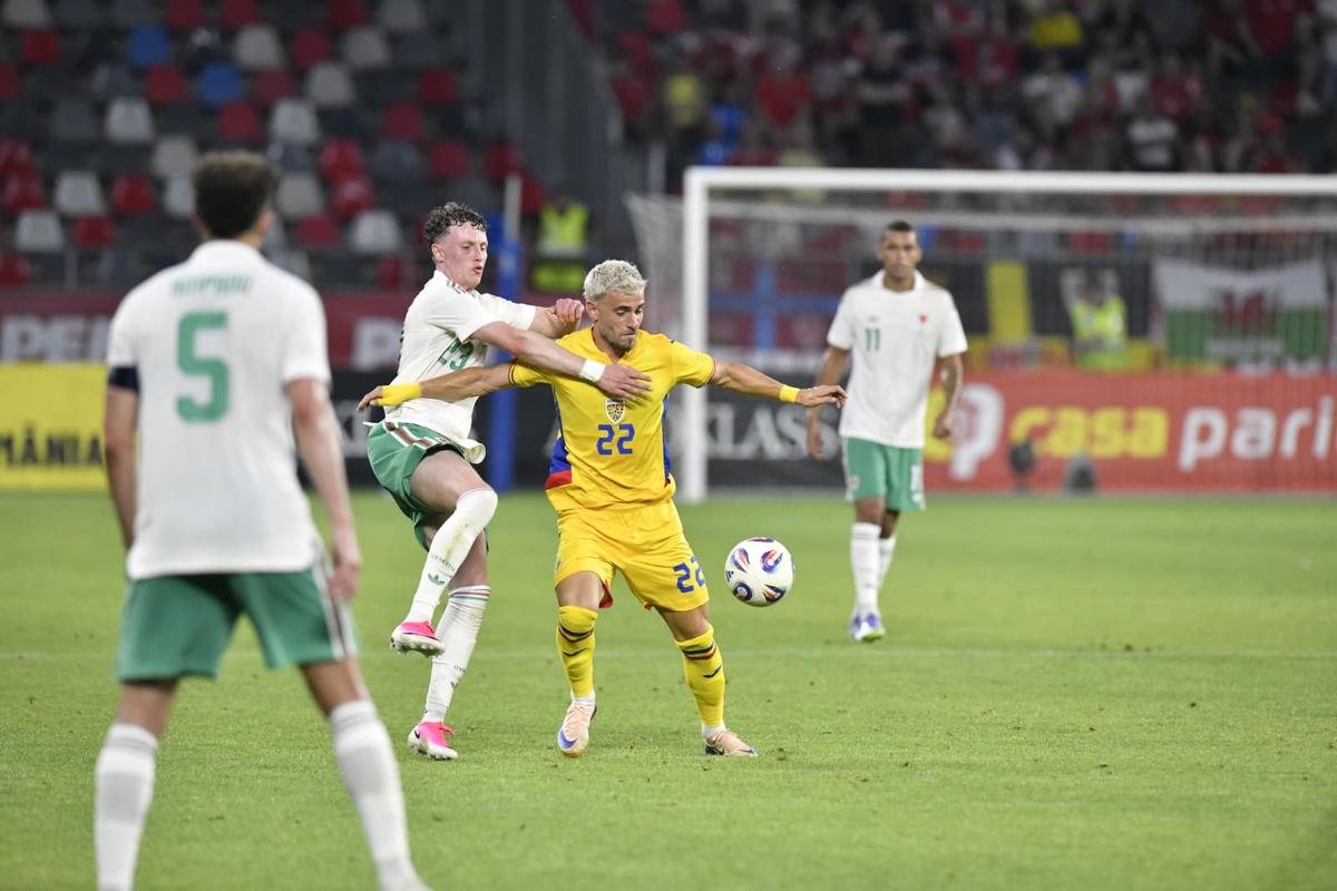 România - Țara Galilor// foto: Cristi Preda (GSP)