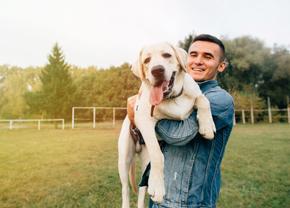Cele mai frecvente boli care afectează câinii