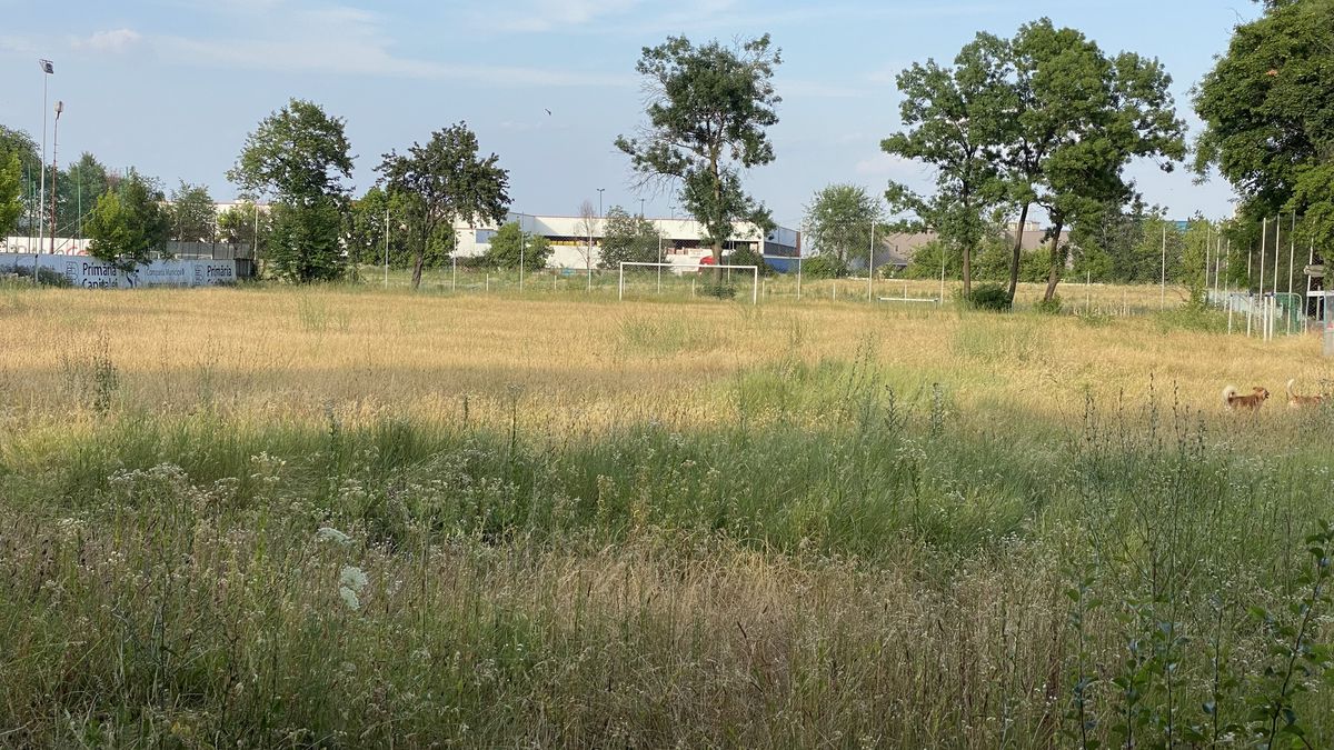 Baza sportivă inaugurată în 2020 de Firea a ajuns un DEZASTRU! Imagini deplorabile din Sectorul 3