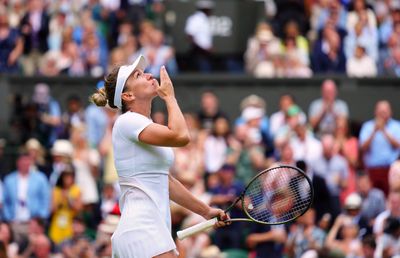 Mats Wilander și Alex Corretja, împresionați de Simona Halep: „E mai bună decât la titlul din 2019”