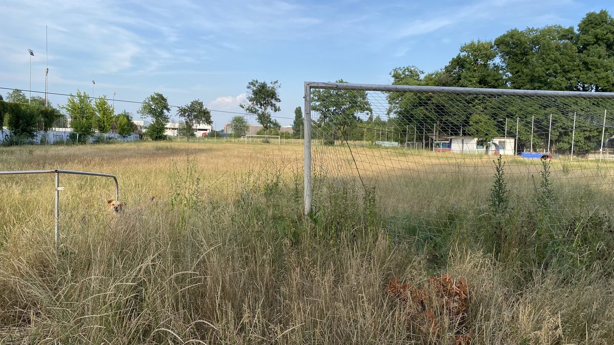 Baza sportivă inaugurată în 2020 de Firea a ajuns un DEZASTRU! Imagini deplorabile din Sectorul 3