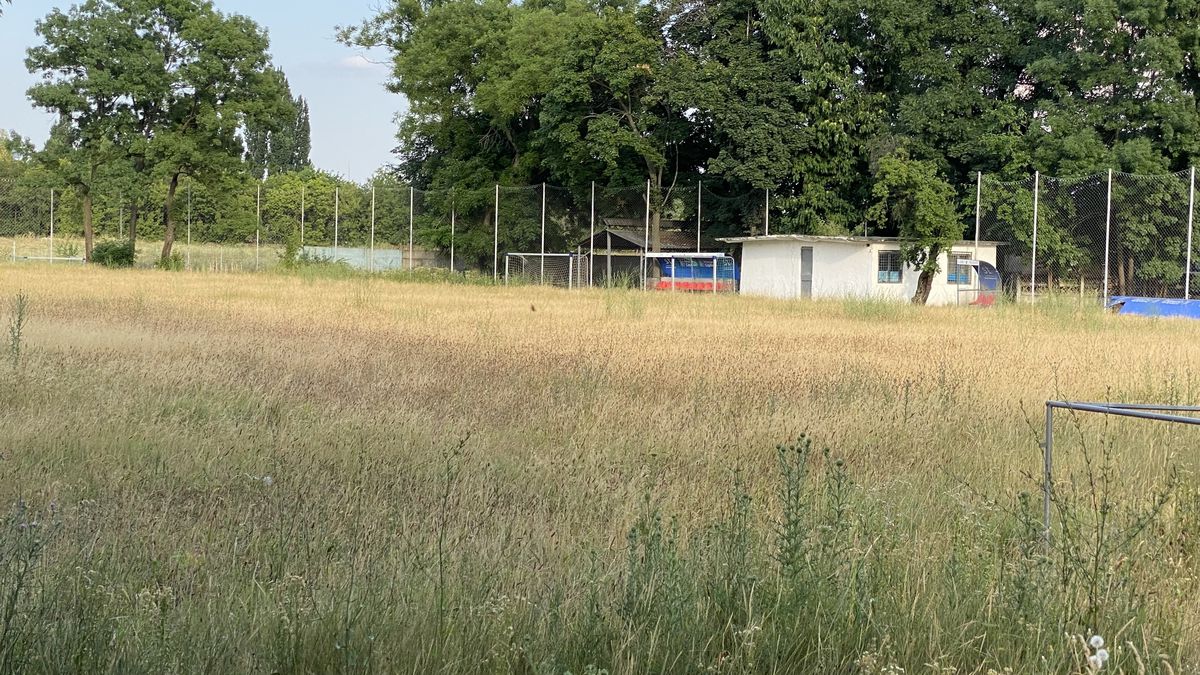 Baza sportivă inaugurată în 2020 de Firea a ajuns un DEZASTRU! Imagini deplorabile din Sectorul 3