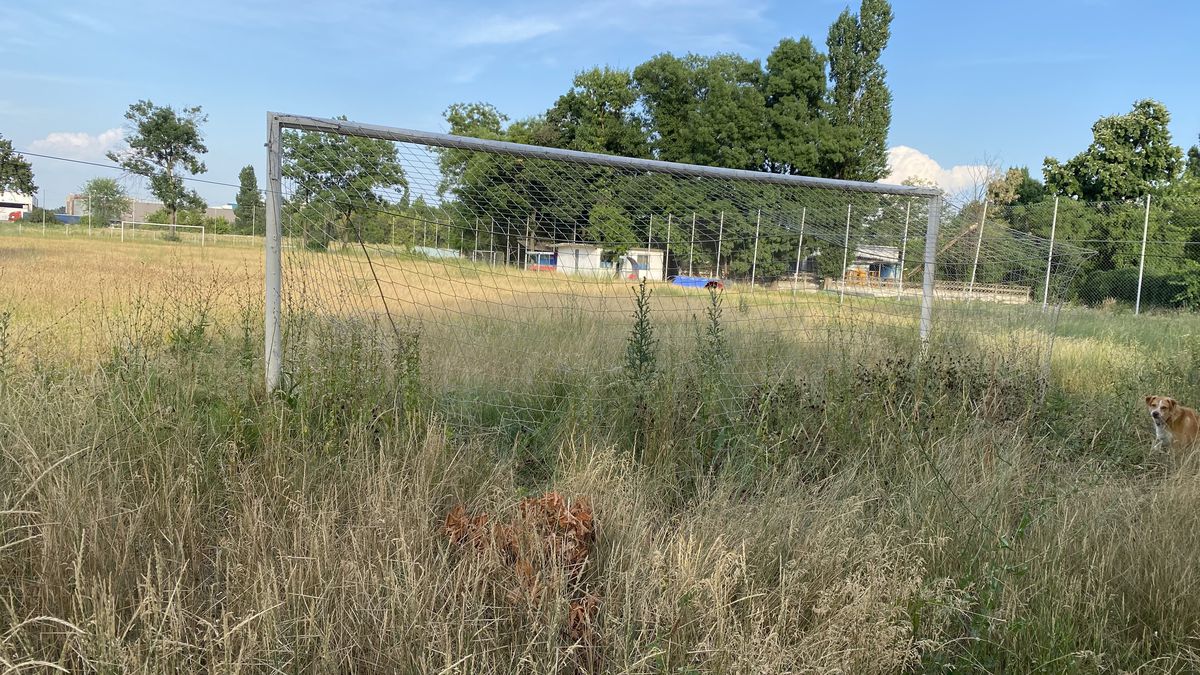 Baza sportivă inaugurată în 2020 de Firea a ajuns un DEZASTRU! Imagini deplorabile din Sectorul 3