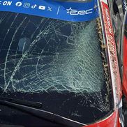 Simone Tempestini, coliziune cu o vacă/Foto: Eurosport