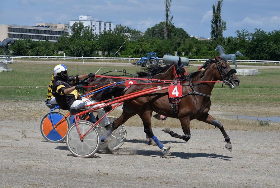Derby-ul de trap de la Ploiești s-a lăsat cu o furtună teribilă pe motive de doping cabalin. Foto: csmploiesti.ro Și caii se dopează, nu-i așa? Scandal imens pe hipodromul de la Ploiești: câștigătorul Derby-ului, ascuns de controlul antidoping + „Funcționează ilegal! Îi închid!”