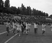 FC Argeș, la 68 de ani. Ce recorduri au stabilit piteștenii în fotbalul românesc?