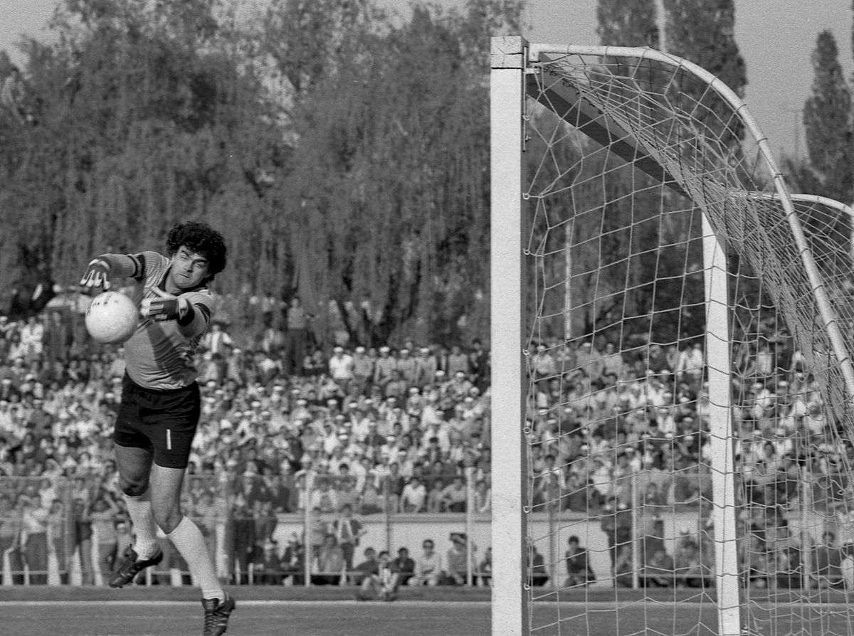 FC Argeș, la 68 de ani. Ce recorduri au stabilit piteștenii în fotbalul românesc?