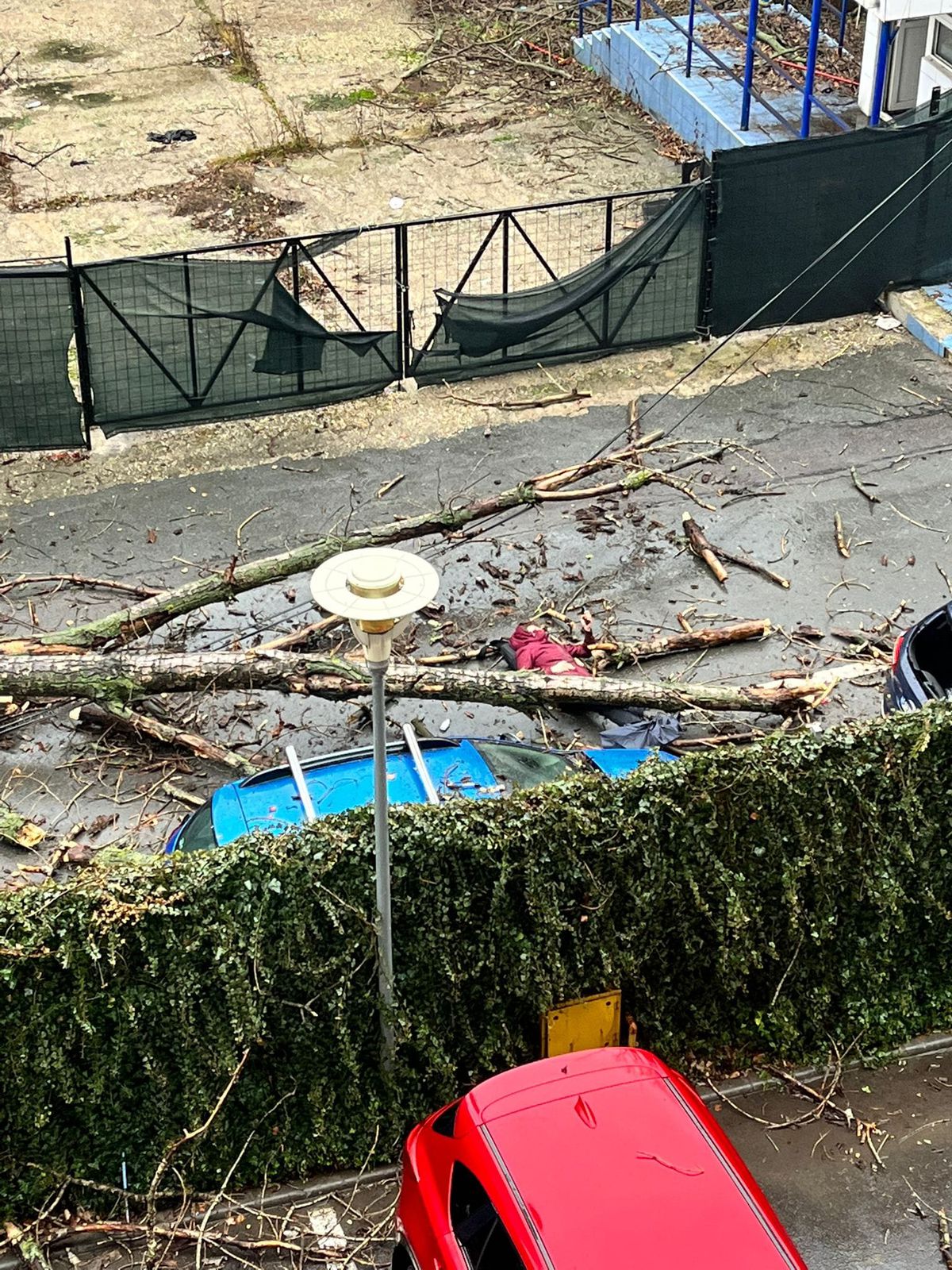 Și-a făcut arc din oase frânte! Povestea INCREDIBILĂ a Andei: „Eram studentă, un copac a căzut peste mine pe stradă” » A transformat ghinionul în vis olimpic: „Dacă eu pot, pot și ceilalți. Fără scuze!”