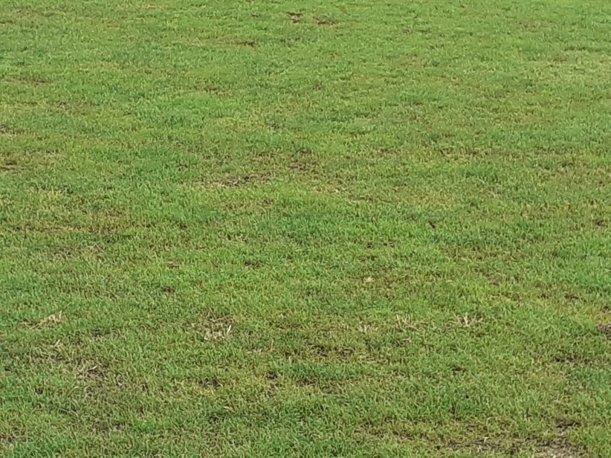 E praf » Probleme înainte de Macedonia - România: „Imposibil, n-are cum”