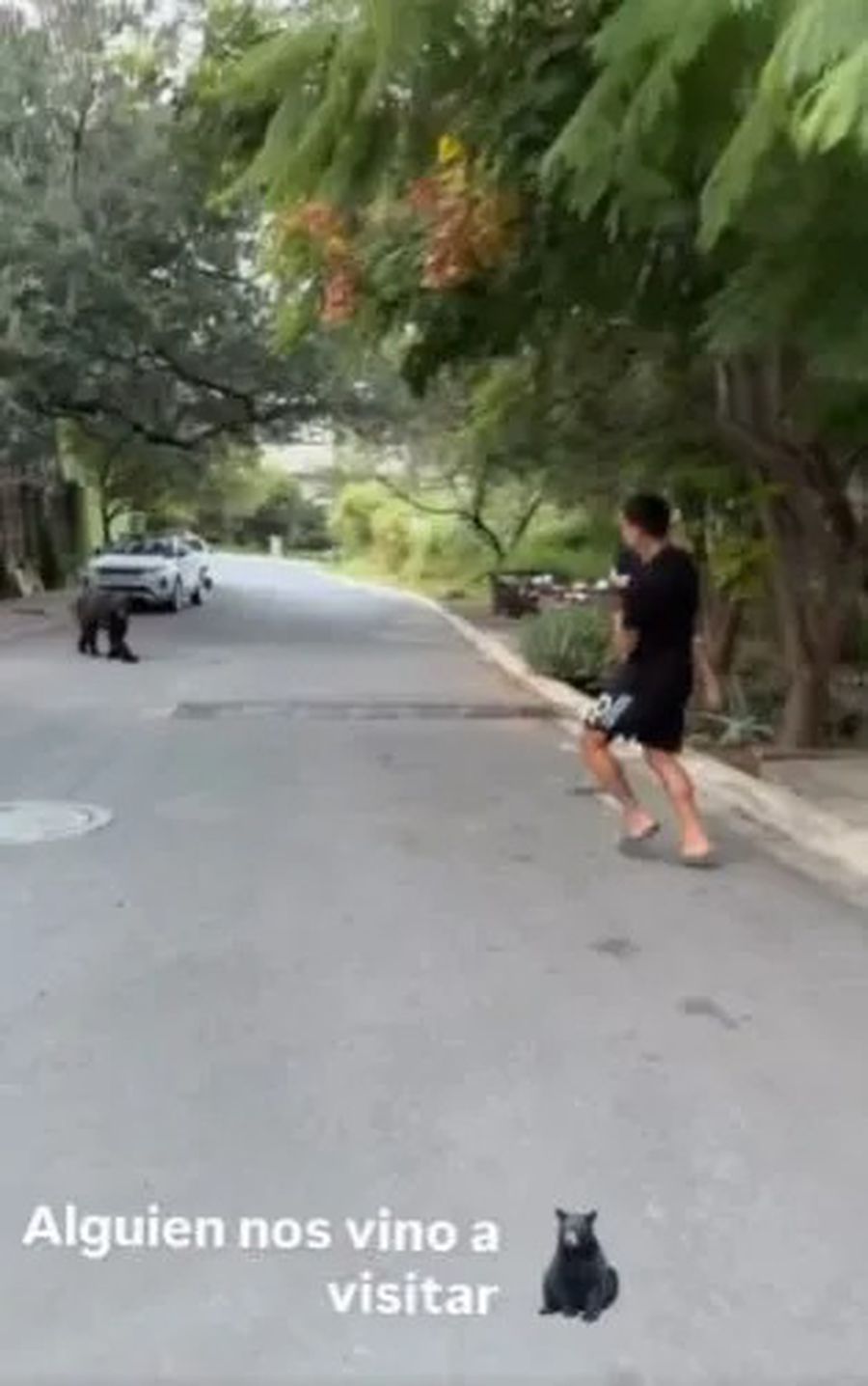 Angel Correa se retrage strategic din fața ursului, cu fiica sa de doi ani în brațe / Foto: captură Moment de panică pentru campionul mondial din 2022! Cu ursul pe urme