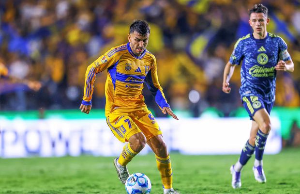 Moment de panică pentru campionul mondial din 2022! Cu ursul pe urme