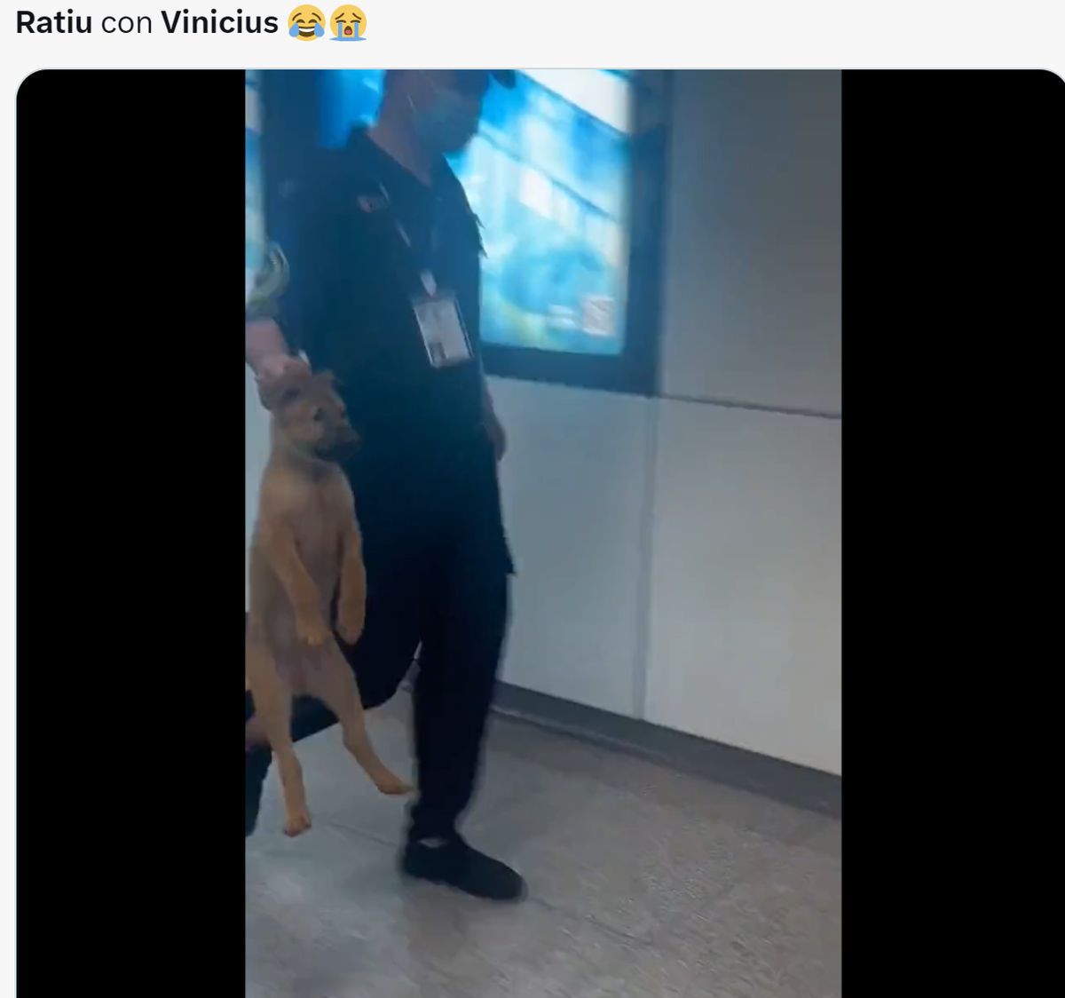 Vinicius, subiect de glume pe internet după ce a fost anihilat de Andrei Rațiu! Cele mai tari meme după Real Madrid - Rayo Vallecano