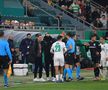Mirel Rădoi, eliminat în Rapid Viena - Universitatea Craiova