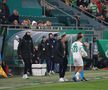Mirel Rădoi, eliminat în Rapid Viena - Universitatea Craiova