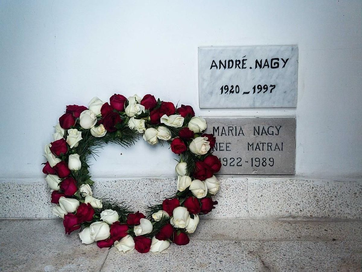 Andrej Prean Nagy - Marseille, Bayern Munchen