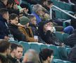 Atmosfera în tribune la Rapid Viena - Universitatea Craiova/ foto Ionuț Iordache (GSP)