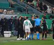 Mirel Rădoi, eliminat după o criză de nervi! A urlat la un jucător advers