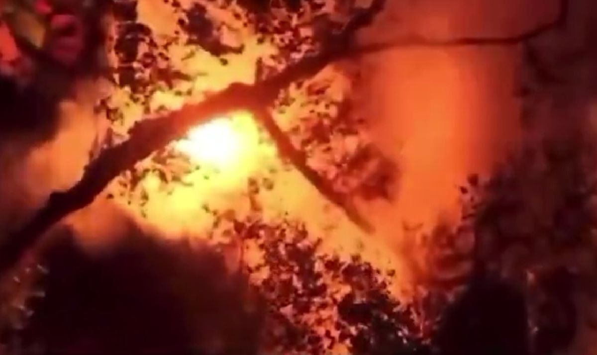 Casa unui antrenor din NBA a fost distrusă de un incendiu! Imagini devastatoare din Miami