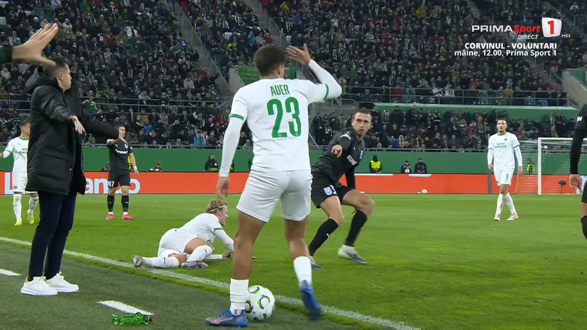 Mirel Rădoi, eliminat în Rapid Viena - Universitatea Craiova