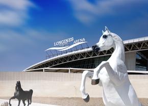 GSP a vizitat clubul ecvestru Al Shaqab din Doha: 400 de angajați, 700 de cai și condiții la care sportivii din România doar visează