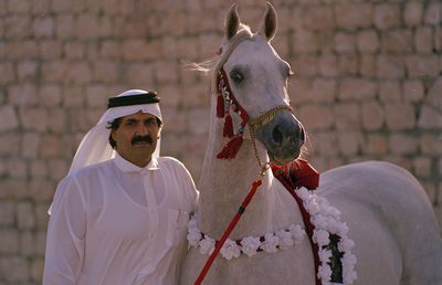 GSP a vizitat clubul ecvestru Al Shaqab din Doha: 400 de angajați, 700 de cai și condiții la care sportivii din România doar visează