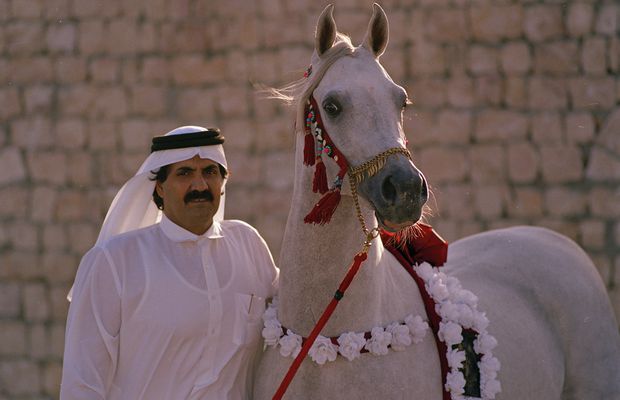 GSP a vizitat clubul ecvestru Al Shaqab din Doha: 400 de angajați, 700 de cai și condiții la care sportivii din România doar visează