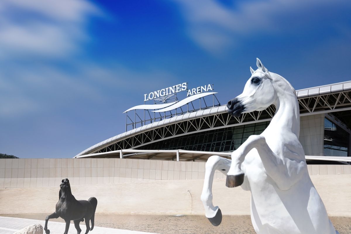 GSP a vizitat clubul ecvestru Al Shaqab din Doha: 400 de angajați, 700 de cai și condiții la care sportivii din România doar visează