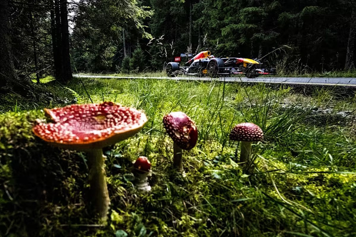 Ce se întâmplă când monopostul F1 al lui Vettel e blocat de o nuntă pe Transalpina? Cadre memorabile filmate pe cea mai înaltă șosea din România 