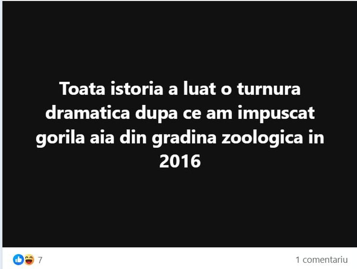 Adrian Mititelu, exploziv după decizia CCR de anulare a alegerilor: „Eu vă zic ce urma să se întâmple de luni, după turul 2. Voi nu realizați”