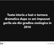 Adrian Mititelu, exploziv după decizia CCR de anulare a alegerilor: „Eu vă zic ce urma să se întâmple de luni, după turul 2. Voi nu realizați”