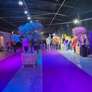 Imagini cu 6 ore înainte de Olanda - Polonia